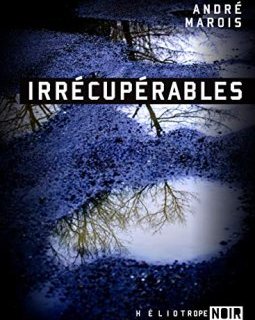Irrécupérables - André Marois