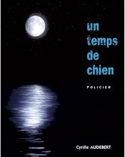 Un temps de chien - Cyrille Audebert