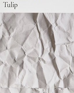 Tulip - Dashiell Hammett