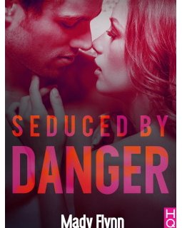 La trilogie Dangerous Love - Le booktrailer