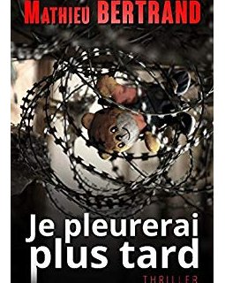 Je pleurerai plus tard - Mathieu Bertrand