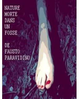 Spectacle Nature morte dans un fossé à Lyon - 2 au 5 avril