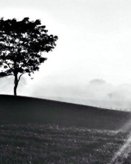 Les polars que VOUS aimez !