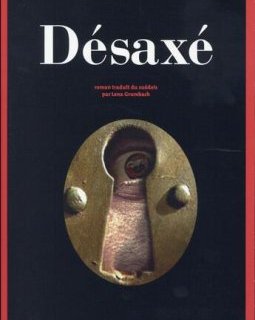 Désaxé - Lars Kepler