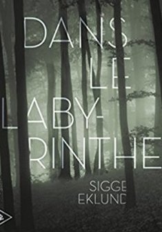 Dans le labyrinthe - Sigge Eklund