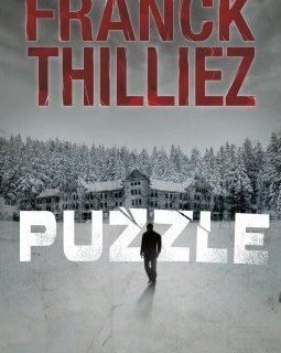 Puzzle - Franck Thilliez