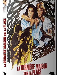 La Dernière maison sur la plage chez Artus