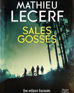 Sales gosses - Mathieu Lecerf
