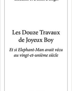 Les douze travaux de Joyeux Boy - Claudine et Daniel Deloget