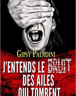 J'entends le bruit des ailes qui tombent - Gipsy Paladini