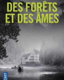  Des forêts et des âmes - Éléna Piacentini