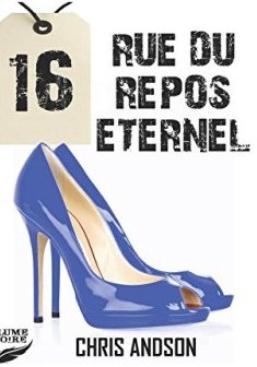 16 RUE DU REPOS ETERNEL - Chris ANDSON