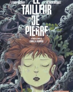 Le tailleur de pierre - Olivier Bocquet