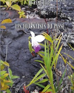 Les fournaises du passé - Jo-Rémi Faye