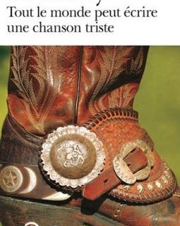 Tout le monde peut écrire une chanson triste et autres nouvelles