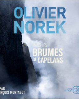 Dans les brumes de Capelans (audio) - Olivier Norek