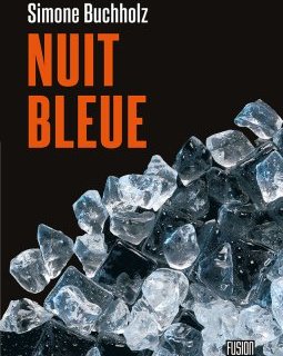 3 raisons de lire Nuit Bleue de Simone Buchholz