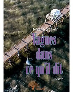 Vagues dans ce qu'il dit - Nadine Shakeri