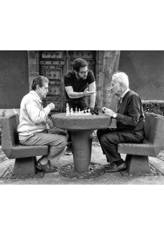 Matices - Saul Masri