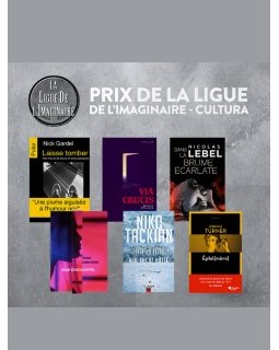 Votez pour votre roman préféré pour le prix Ligue de l'Imaginaire