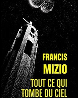 Tout ce qui tombe du ciel - Francis Mizio