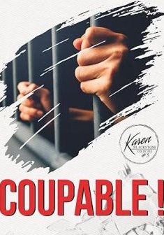Coupable - Sébastien Théveny