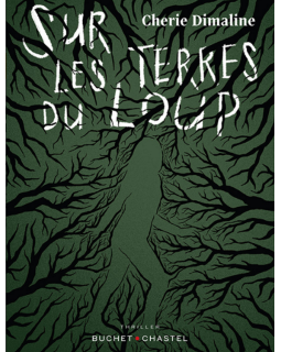 Les sorties thriller de 2022 des éditions Buchet-Chastel