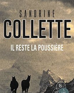 Il reste la poussière - Sandrine Collette