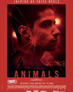Animals, un film de Nabil Ben Yadir à découvrir en février