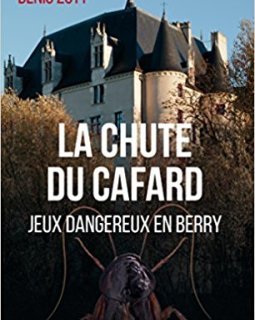 La chute du cafard - Zott Denis