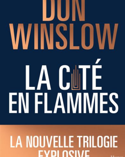 La cité en flamme - Don Winslow