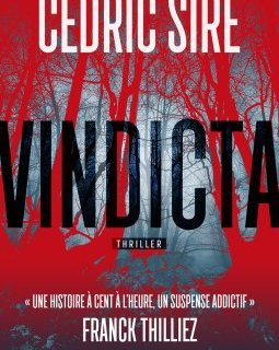 L'interrogatoire de Cédric Sire pour Vindicta