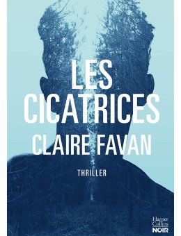 Les Cicatrices, le nouveau roman de Claire Favan