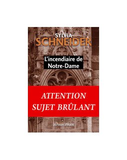 L'incendiaire de Notre-Dame - Sylvia Schneider