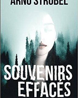 Souvenirs effacés - Arno Strobel 