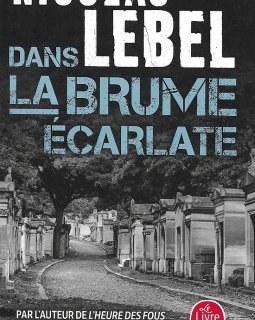 Dans la brume écarlate - Nicolas Lebel