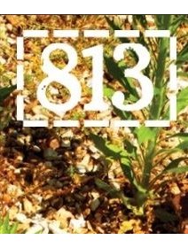 La couverture du numéro 128 de la revue 813