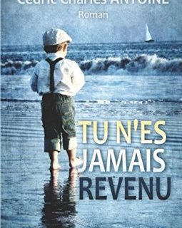 Tu n'es jamais revenu