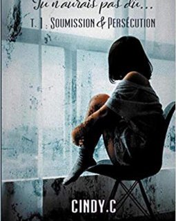 Tu n'aurais pas dû... - Cindy .C