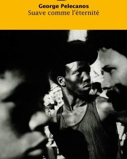 Suave comme l'éternité - George Pelecanos 