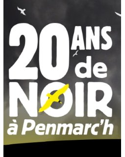 Prix du premier roman du Goéland Masqué - Les présélectionnés 2021