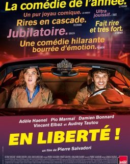 En liberté ! - Pierre Salvadori