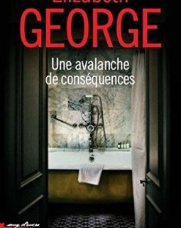 Une avalanche de conséquences - Elizabeth George