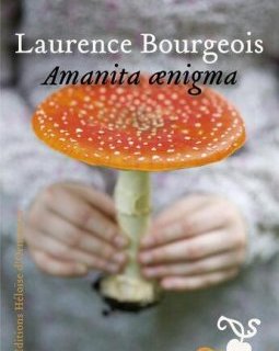 Amanita aenigma - Laurence Bourgeois