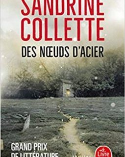 Des nœuds d'acier - Sandrine Collette 