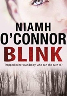 Blink - Niamh O'Connor 