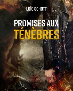 Promises aux ténèbres - Loïc Schott