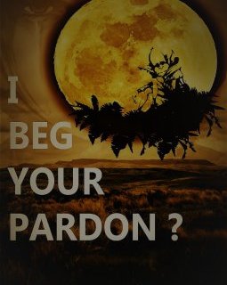 I Beg your Pardon ? - Philippe Trehiou