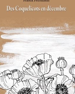 Des coquelicots en décembre - Franck Petruzzelli