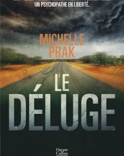 Le Déluge - Michelle Prak
